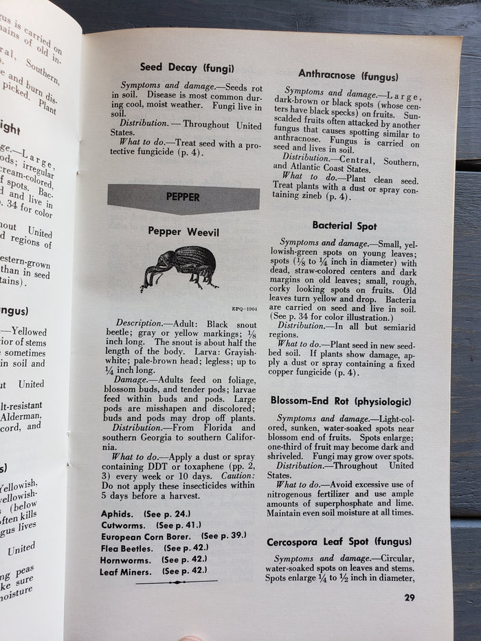 Insects and Diseases of Vegetables in the Home Garden (1967)