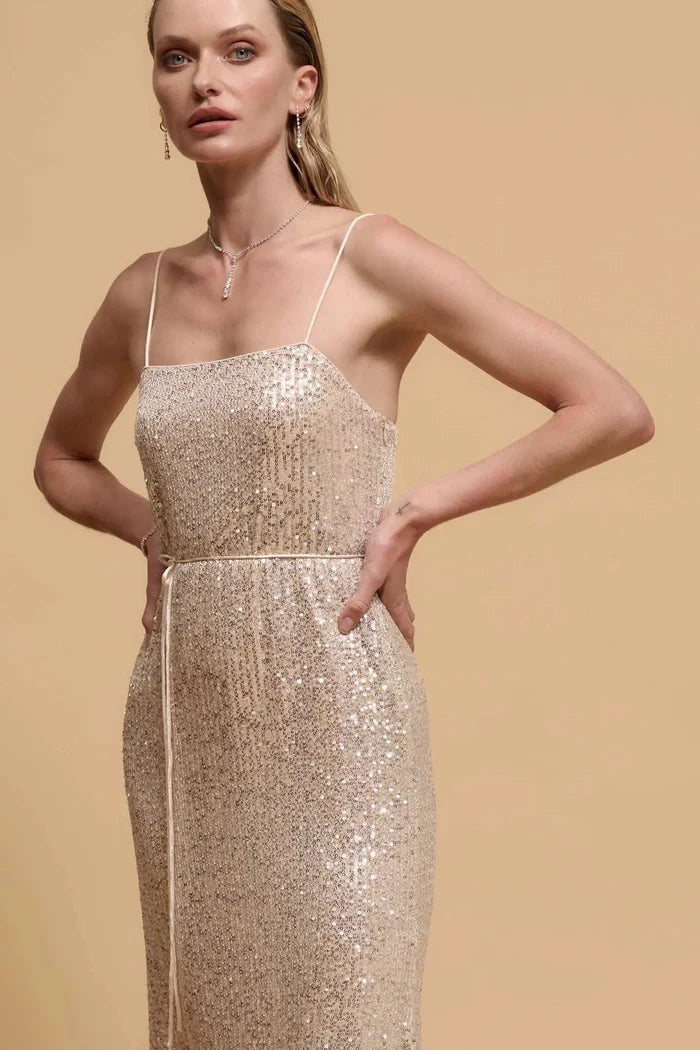All That Glitters Sequin Midi Slip Dress - ShopPromesa