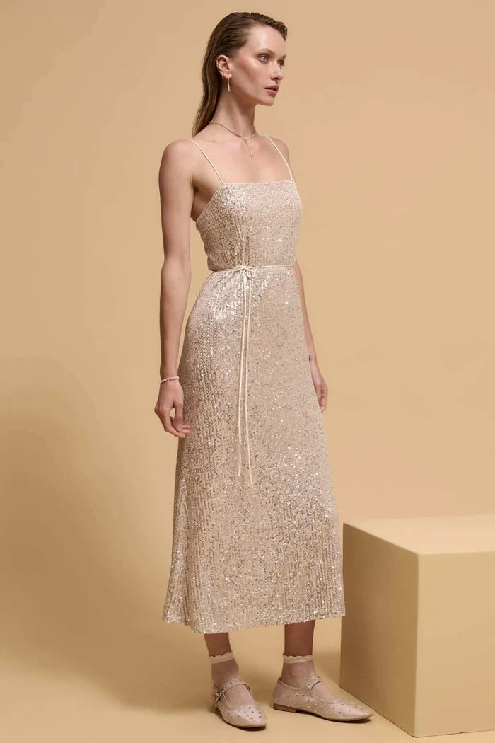 All That Glitters Sequin Midi Slip Dress - ShopPromesa
