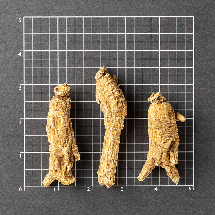 American Ginseng Half Short-XXXL #870