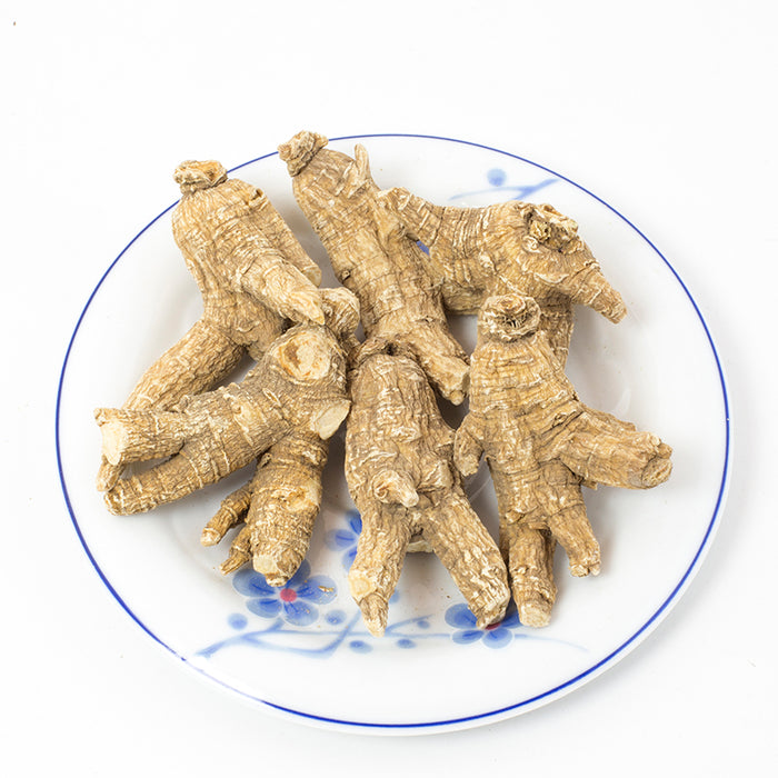 American Ginseng Half Short-XXXL #870