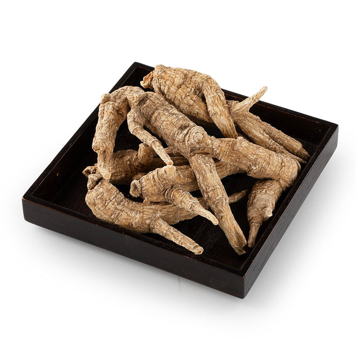 American Ginseng Short-XXL #887