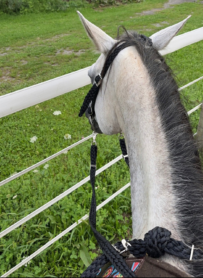 Black  mule tape tack set.
