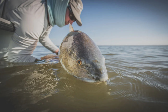 cortland_cold_salt_series_redfish_fly_line_3