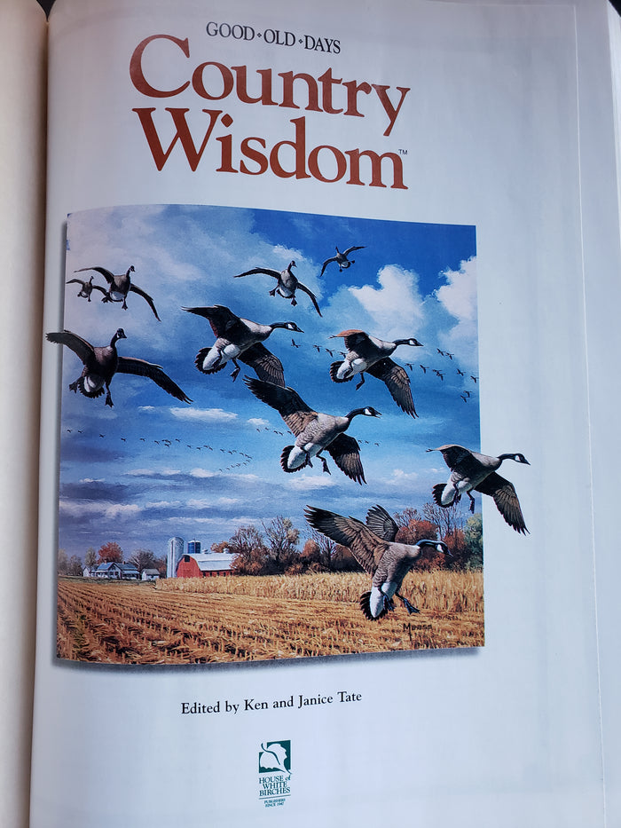 Country Wisdom (Good*Old*Days) 2001