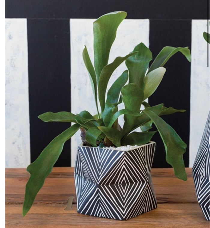 Dazed Planter Portery