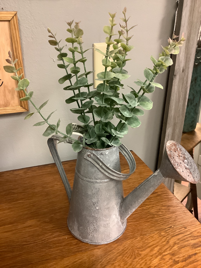Galvanized metal water can