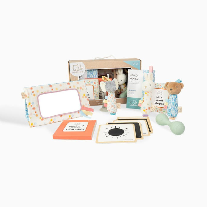 Hello World Toy Starter Pack Box 1 | 0-3 Months