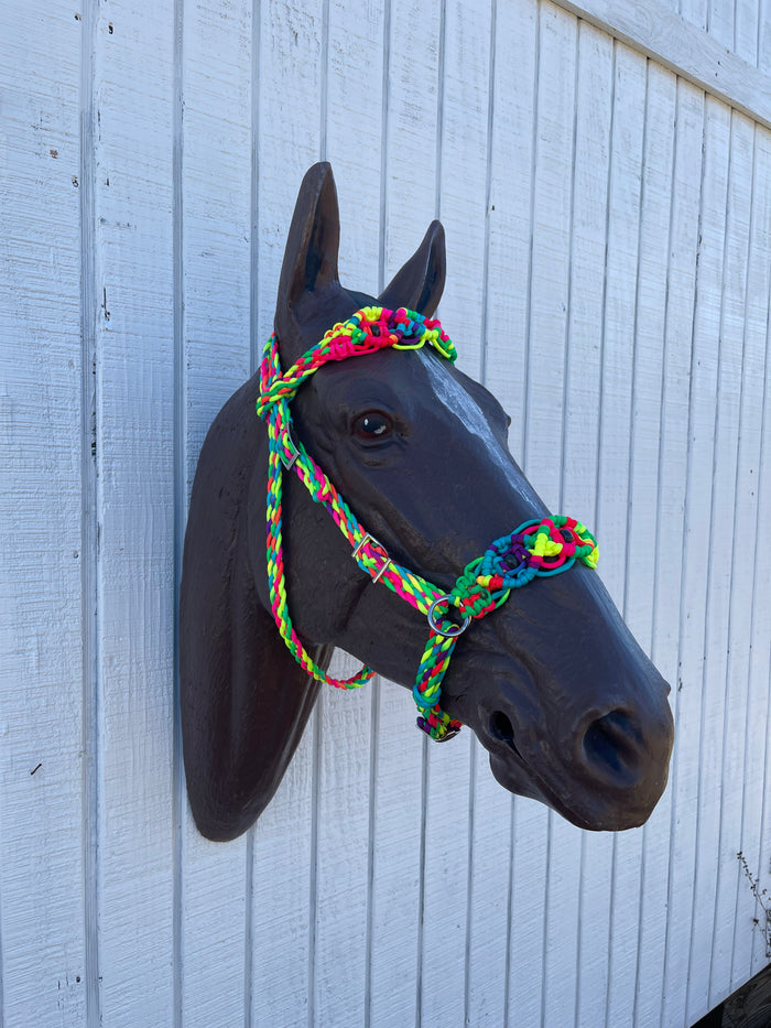 Horse Bitless bridle with fancy braided side pull hackamore