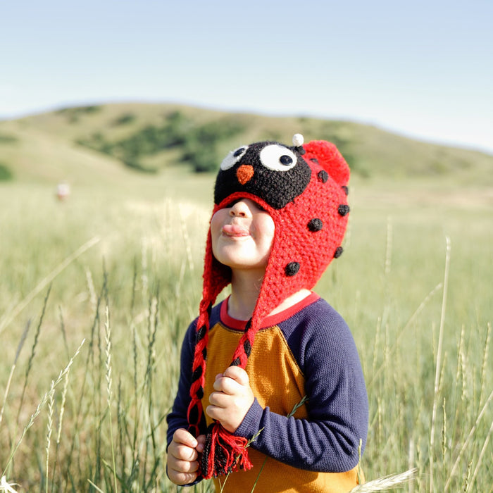 Ladybug