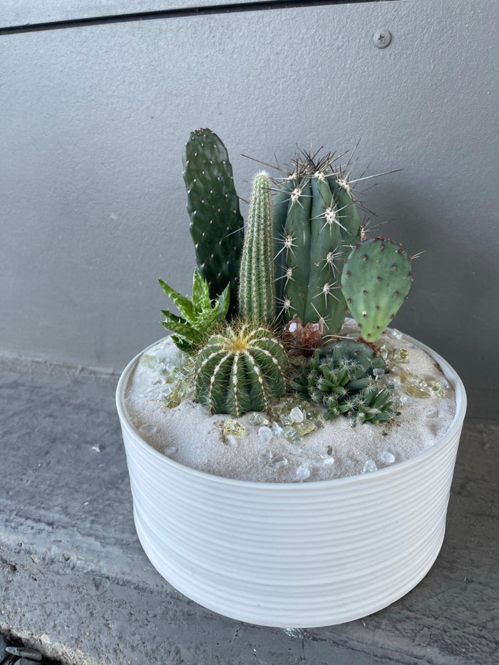 7 x 3”