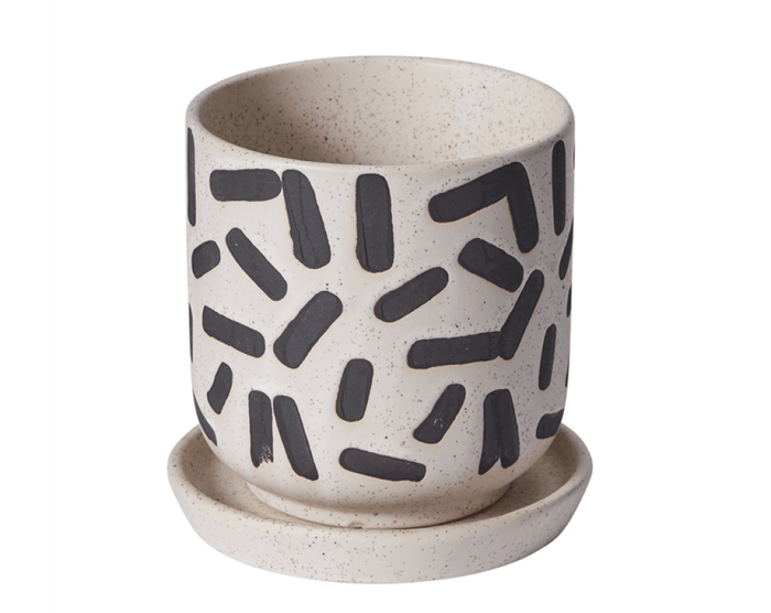 Licorice Pot