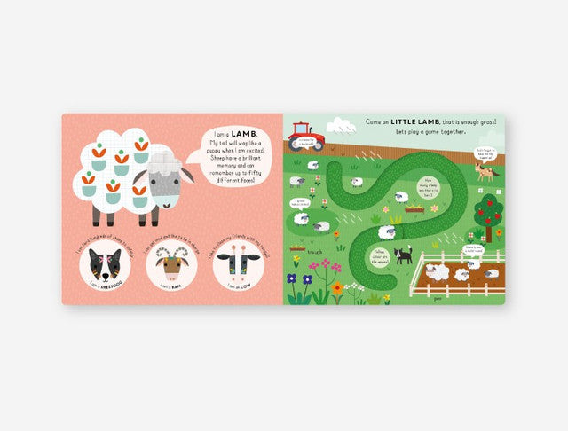Little Journeys Little Duck Board Book