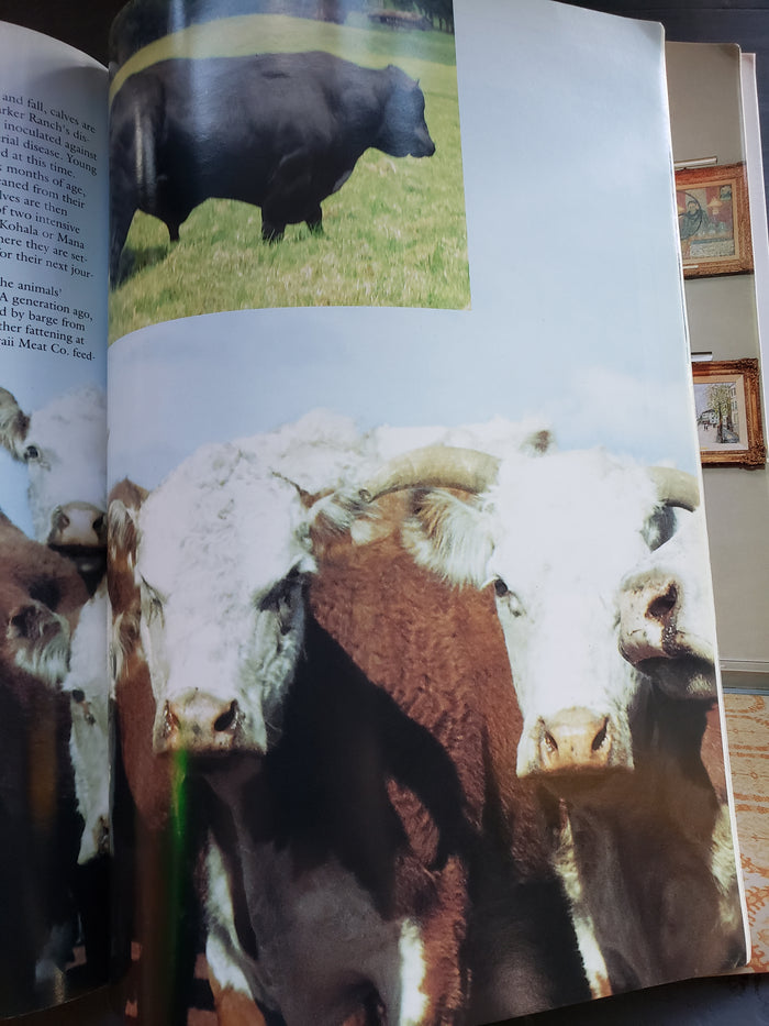 Parker Ranch Hawaii's Cattle Kingdom